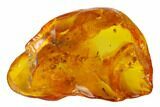Fossil Ant, Caddisfly Larva, Fly and Mite in Baltic Amber #150700-4